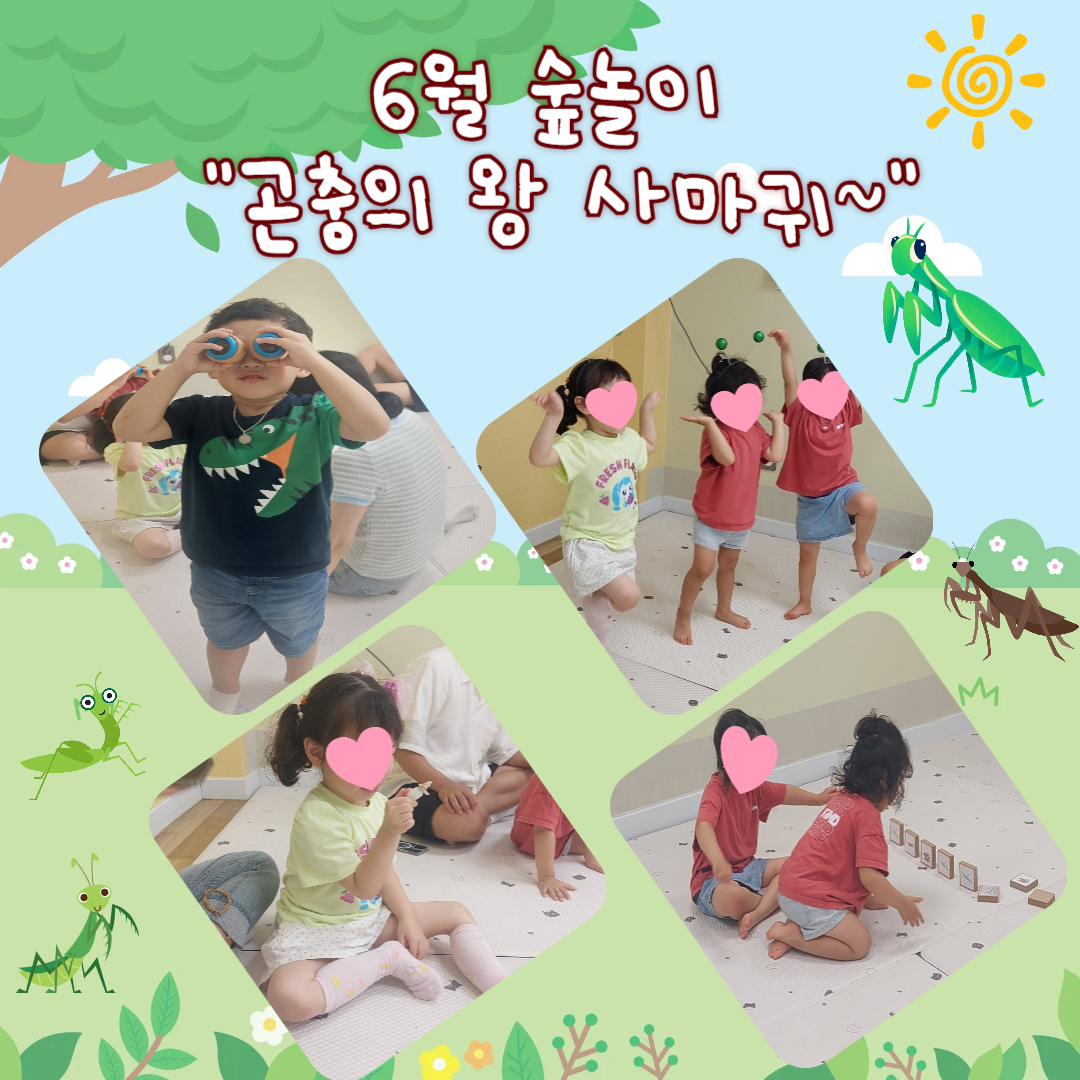 6월 숲놀이