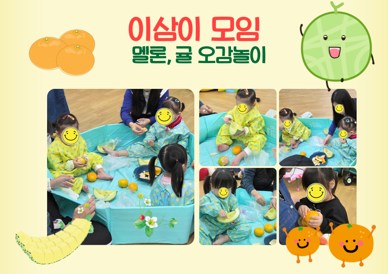 이삼이-멜론,귤 오감놀이